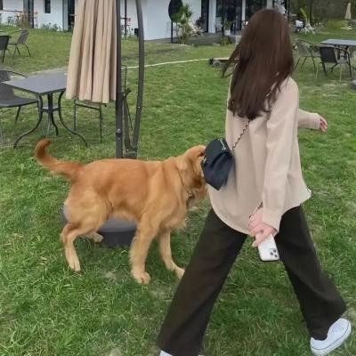 时光之轮第三季